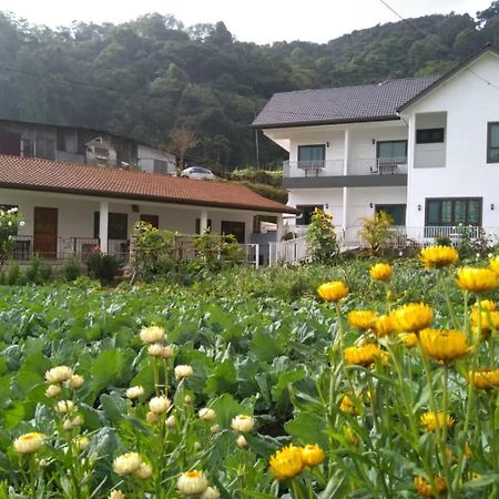 Ng Family'S Farm Stay Cameron Highlands Exterior foto