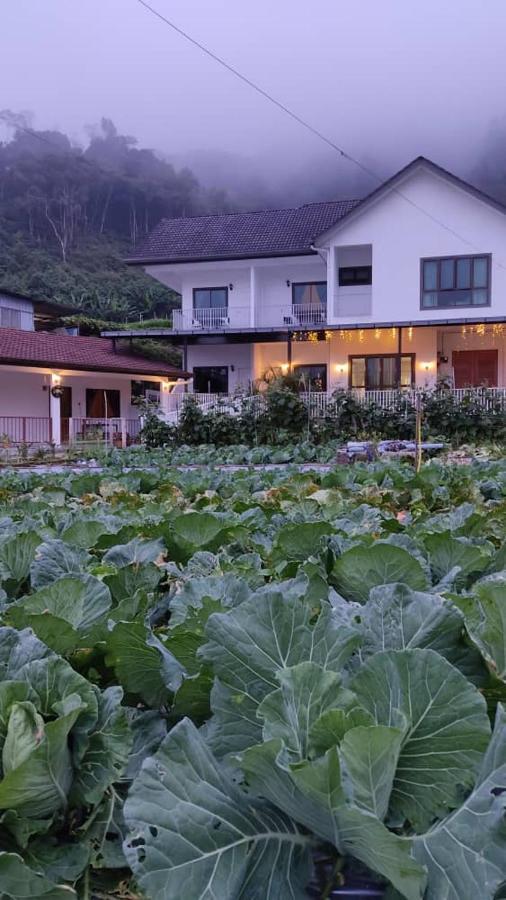 Ng Family'S Farm Stay Cameron Highlands Exterior foto